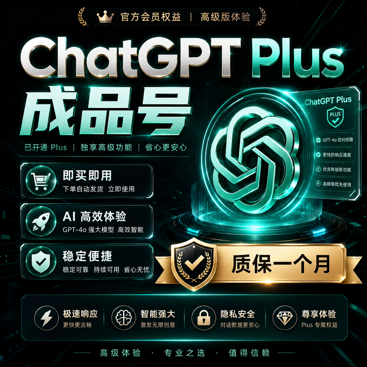 ChatGPT Plus 成品号质保30天 渠道1