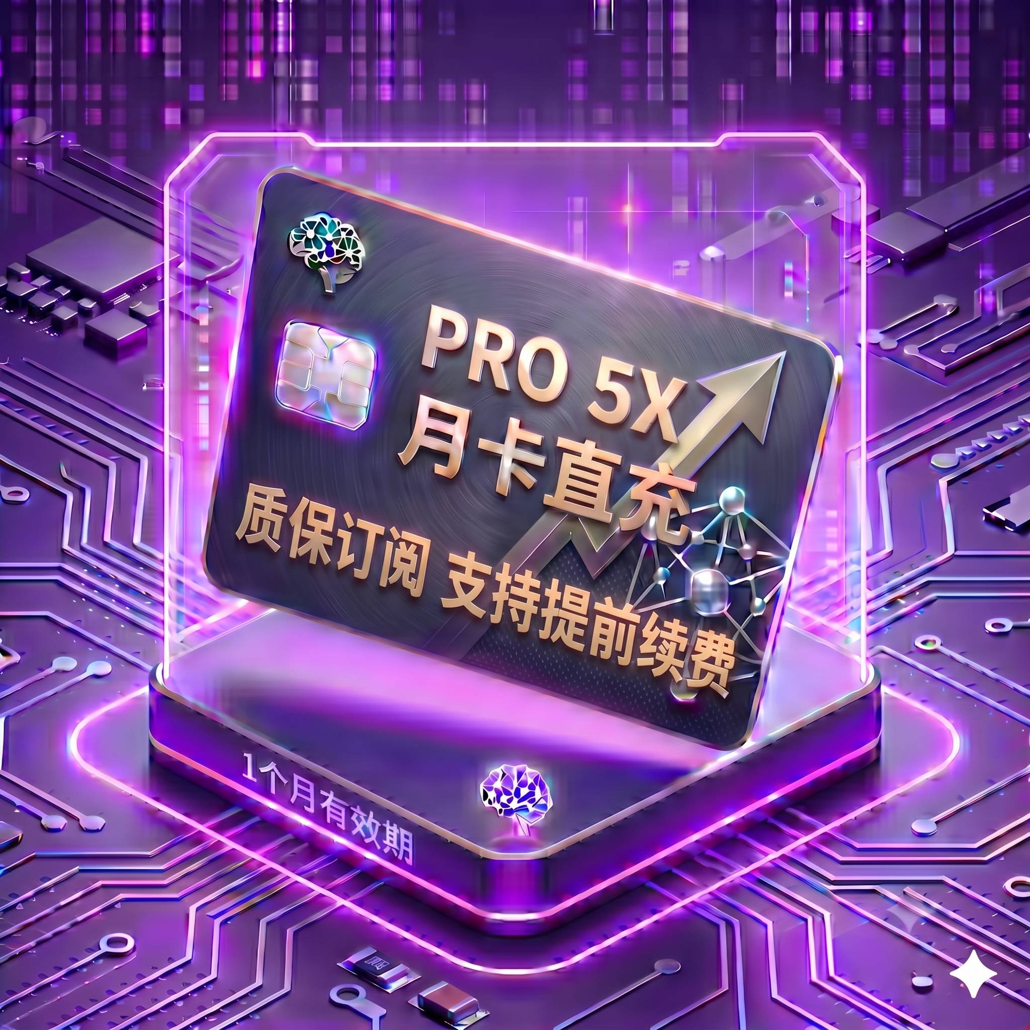 Pro 5X 稳定正规渠道直充1（质保订阅，封号不质保，支持覆盖升级，卡密自助充值服务）商品图片