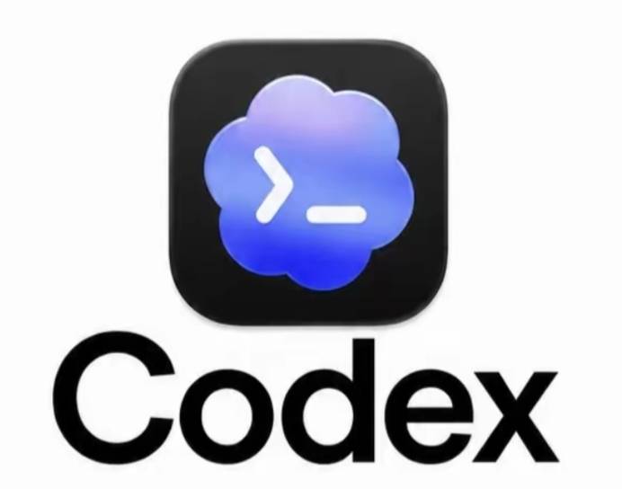codex接码