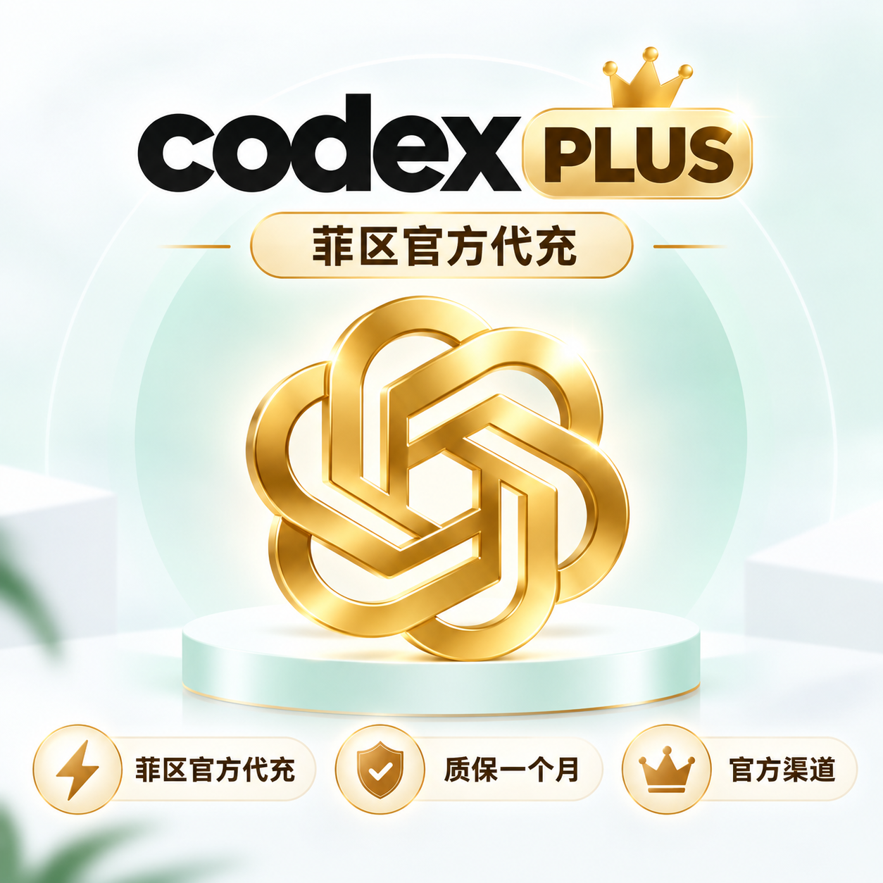 codex PLUS 菲区官方直冲 代充  质保一个月商品图片