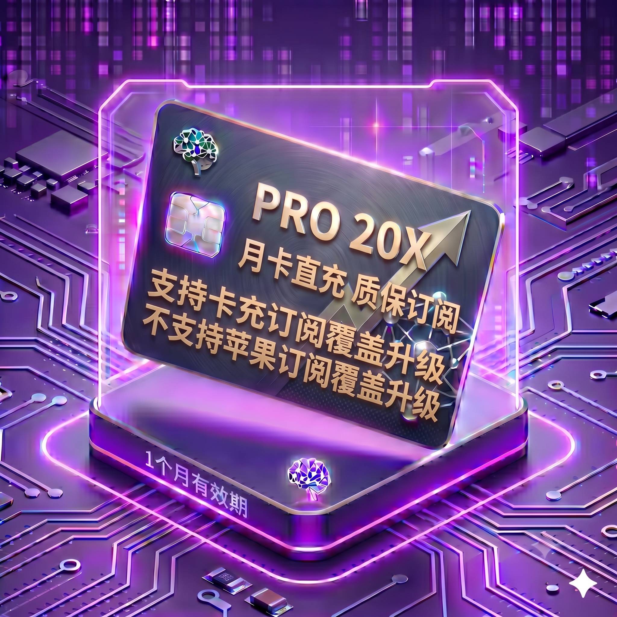 Pro 20X 稳定正规渠道直充2（质保订阅，封号不质保，支持卡充订阅覆盖升级，不支持苹果订阅覆盖升级）商品图片