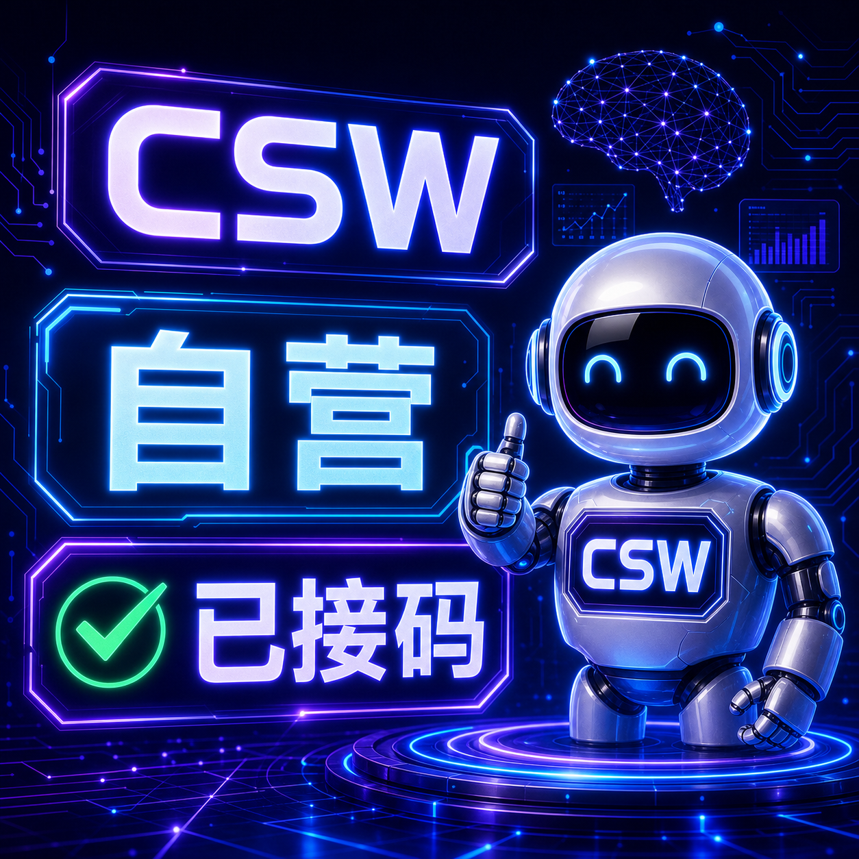 【自营】plus 账号（upi渠道）-已接码商品图片