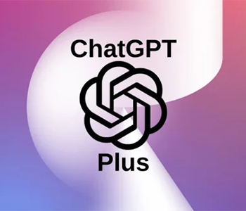 最稳渠道GPT Plus月卡账号|Gmail | UPI Payment | 24小时保修|95%能坚持20天以上商品图片