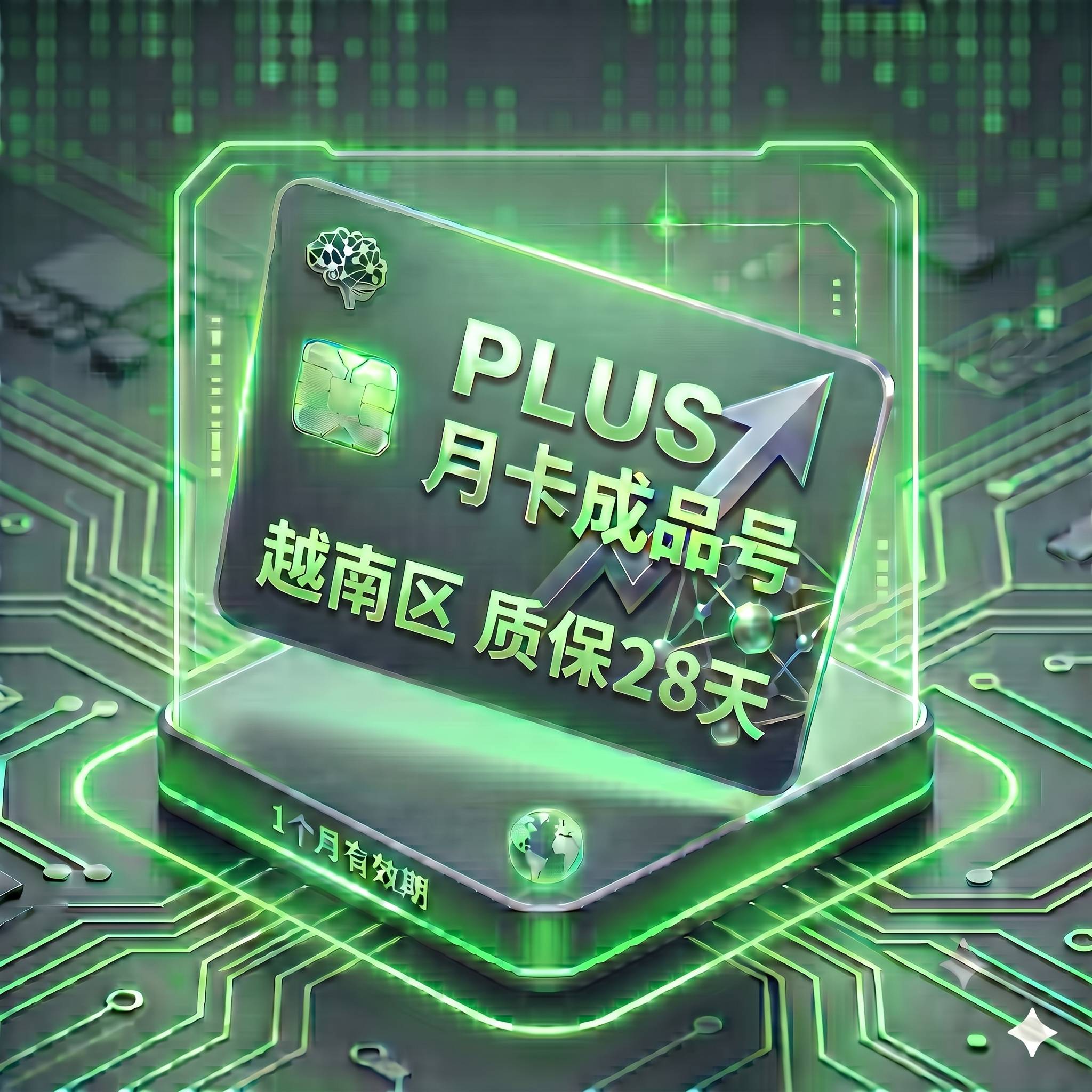 PLUS稳定特殊渠道独享月卡成品号5（新越南区稳定度99%，支持反代，购买28天内账号问题可退剩余，仅限封号、掉订阅）商品图片
