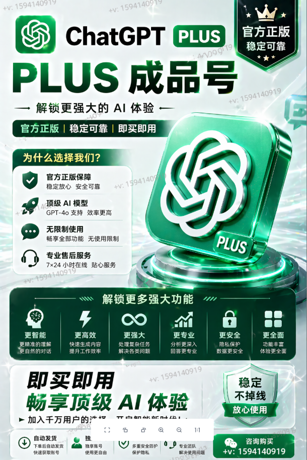 GPT-plus 成品号（质保30天）可接codex（不包接码）商品图片