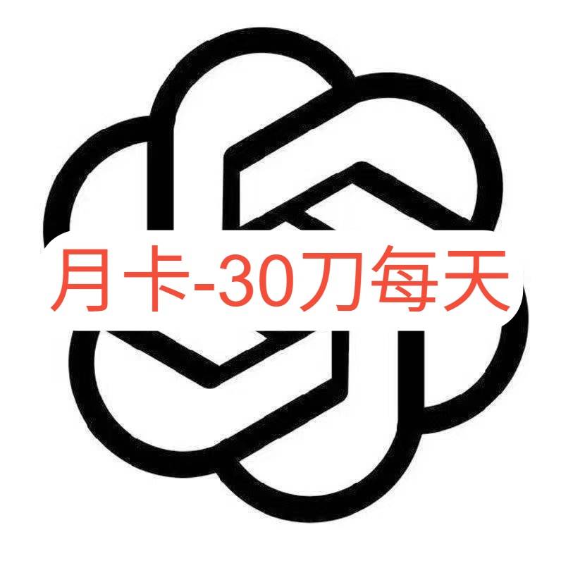 auto-code 月卡-每天30刀额度商品图片