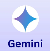 gemini 成品一年 邮箱20-24