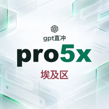 OpenAI Pro  5x 埃及区正价充值【带官方账单】【质保一个月】（100刀套餐）商品图片