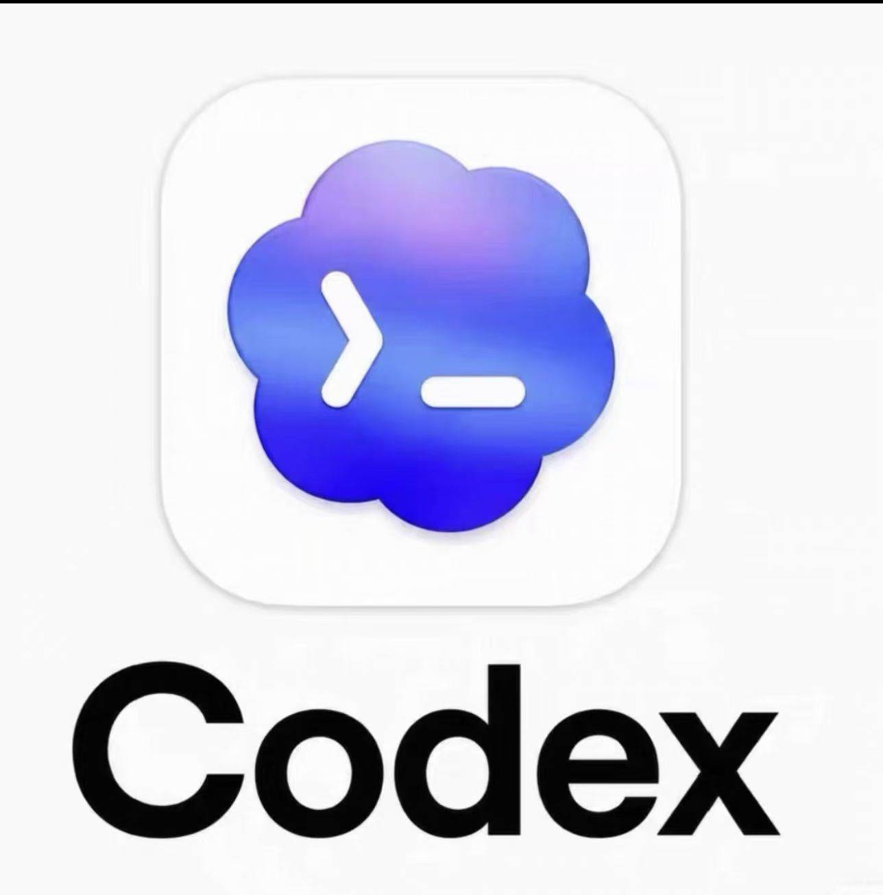codex验证码商品图片