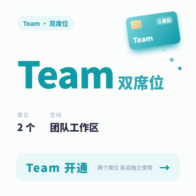 Team 双席位商品图片