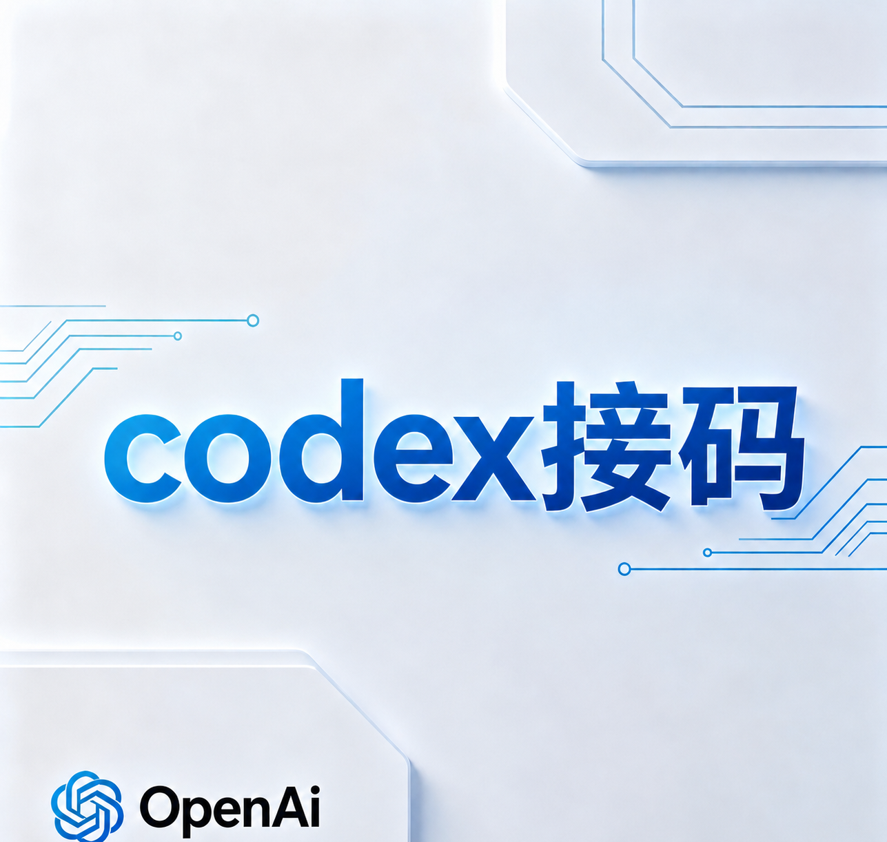美区长效   60-90天有效期   无限次接码商品图片
