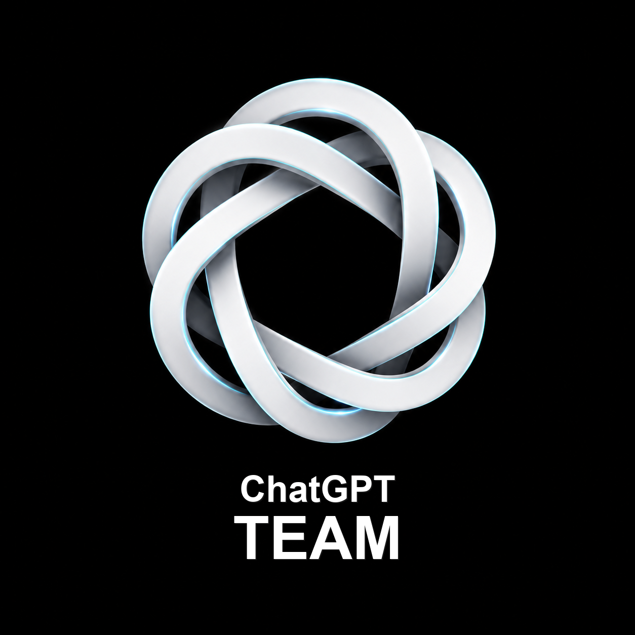 GPT Team 席位1个 ( 全新真充 |  质保20天 )商品图片