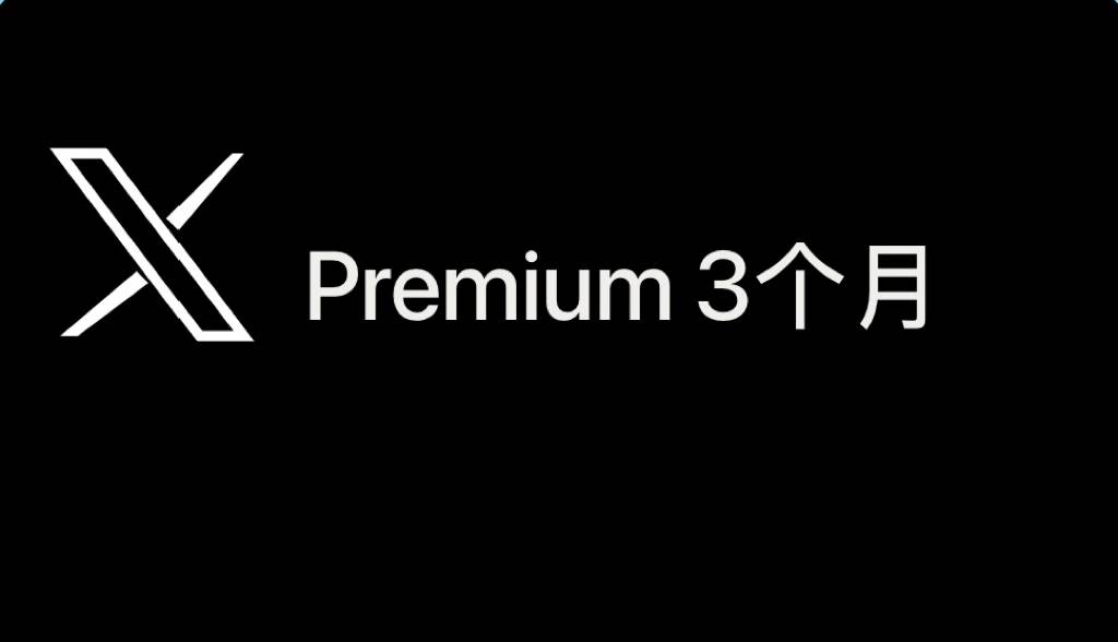 3个月蓝V X premuim商品图片