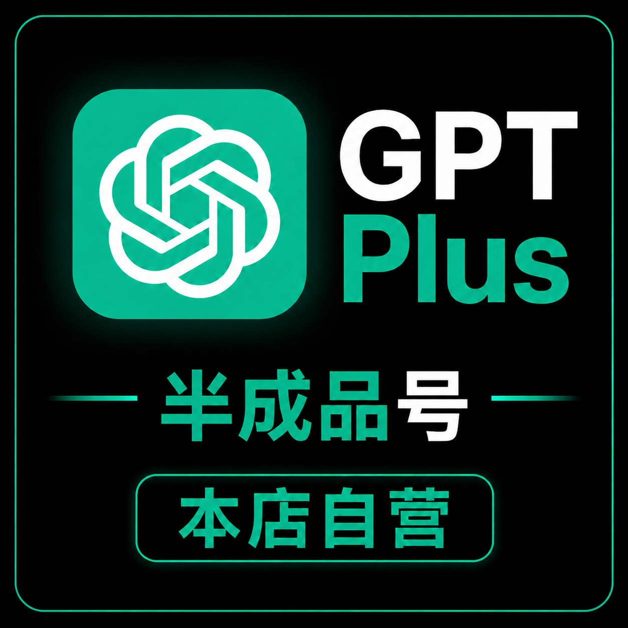 【本店自营】GPT Plus 半成品号【未接码，质保发货2小时】商品图片