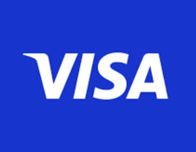 VISA 0 刀虚拟卡 485954(gpt 需要手法卡密有效期2个小时kiro别拍拍错不退)商品图片