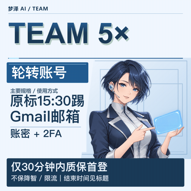 长效非轮转 用到空间死 gmail邮箱 5x team 给账密商品图片