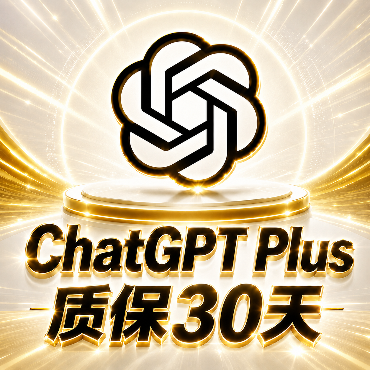 GPT Plus 独享成品号｜质保30 天商品图片