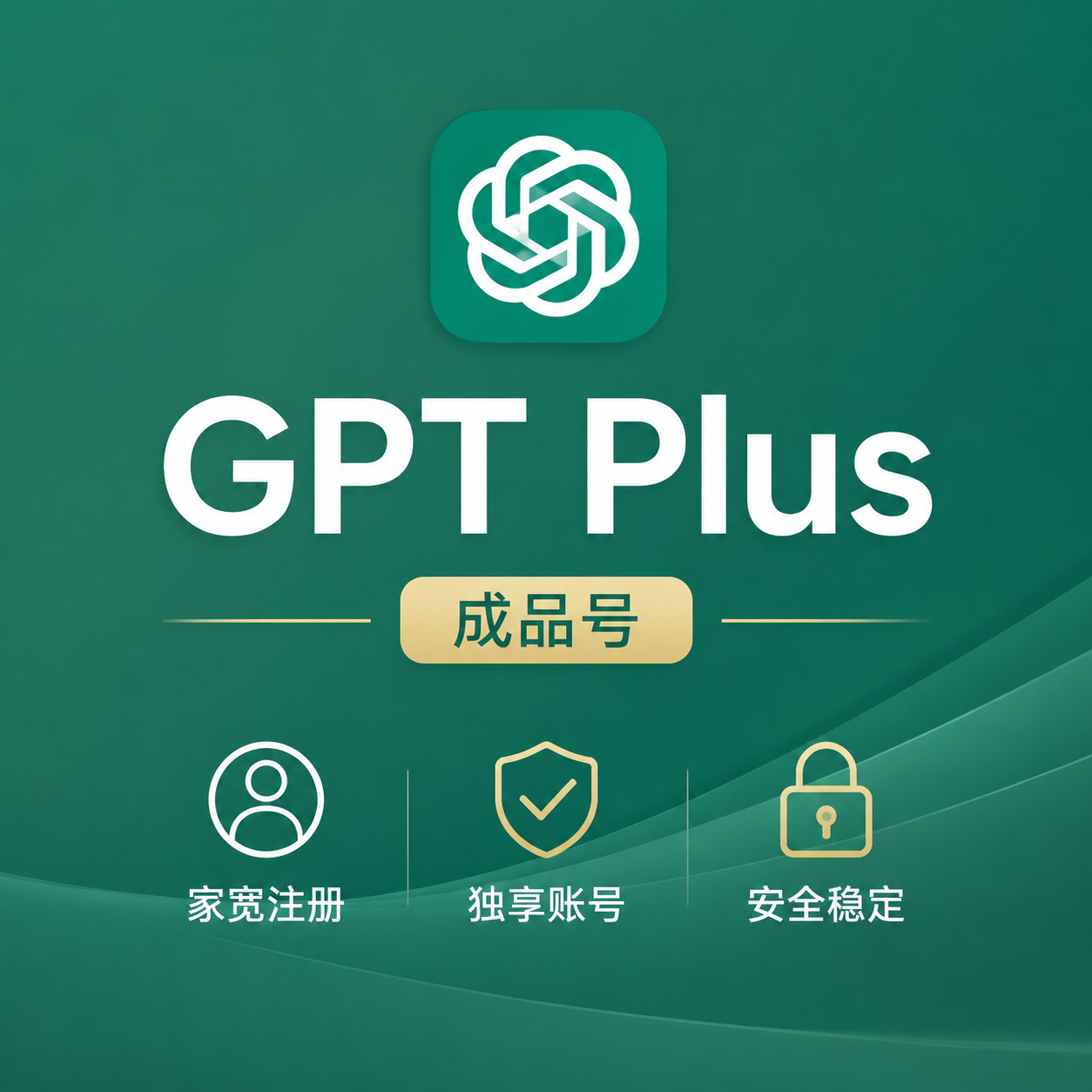 GPT未接码 Plus 高质量成品 家宽注册 质保3天商品图片
