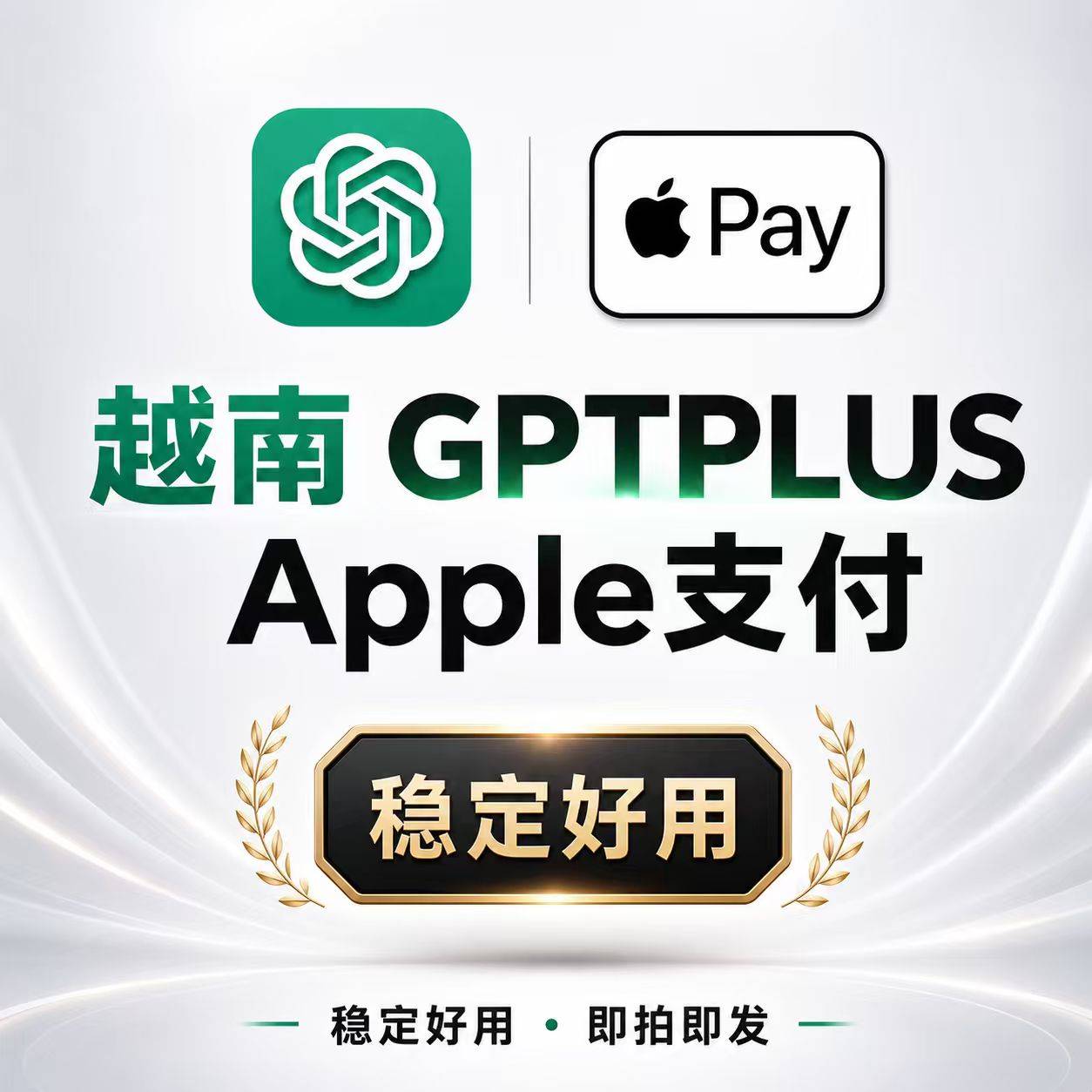 质保5天越南gmail邮箱app pay支付-GPtPLUS商品图片