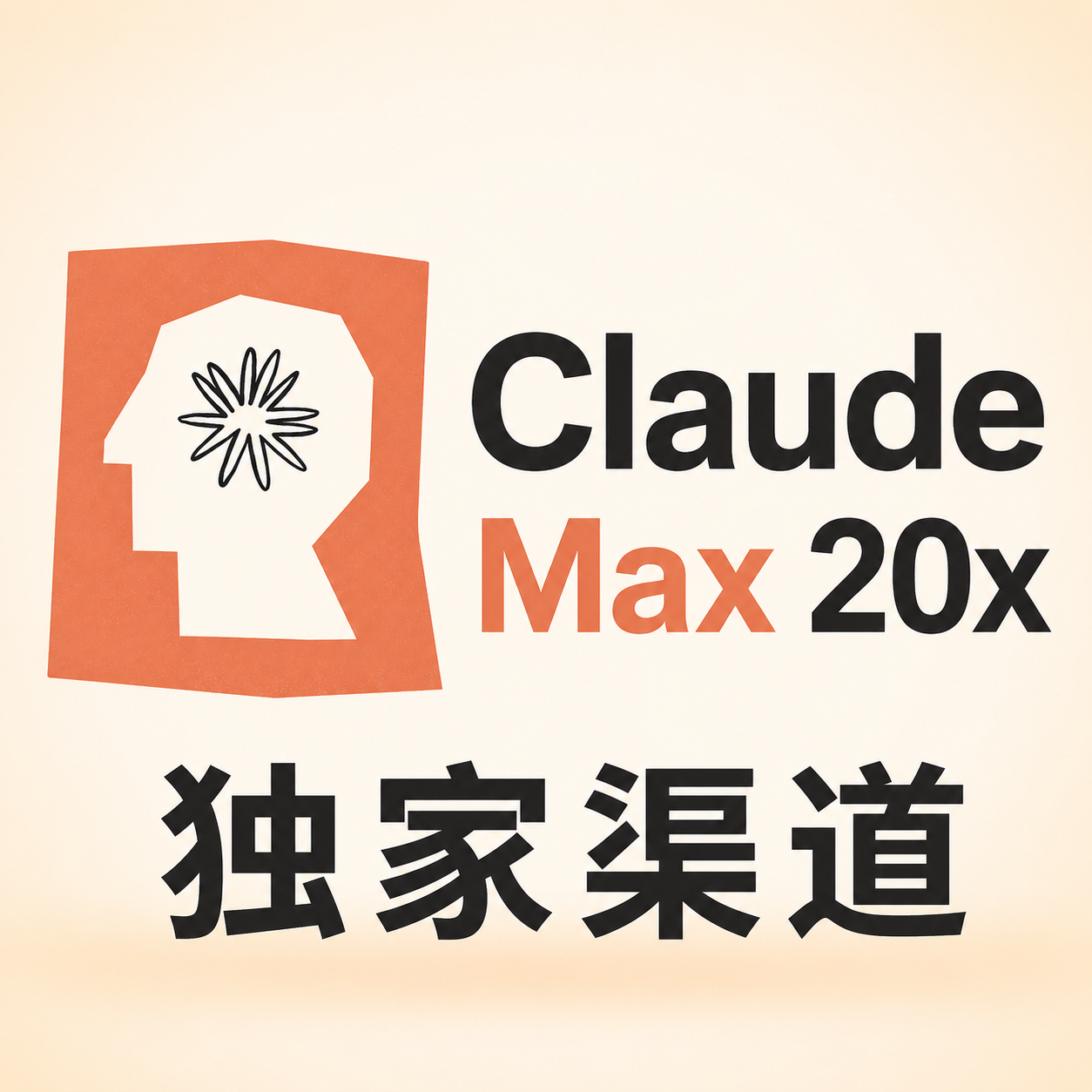 Claude Max 20x 成品号