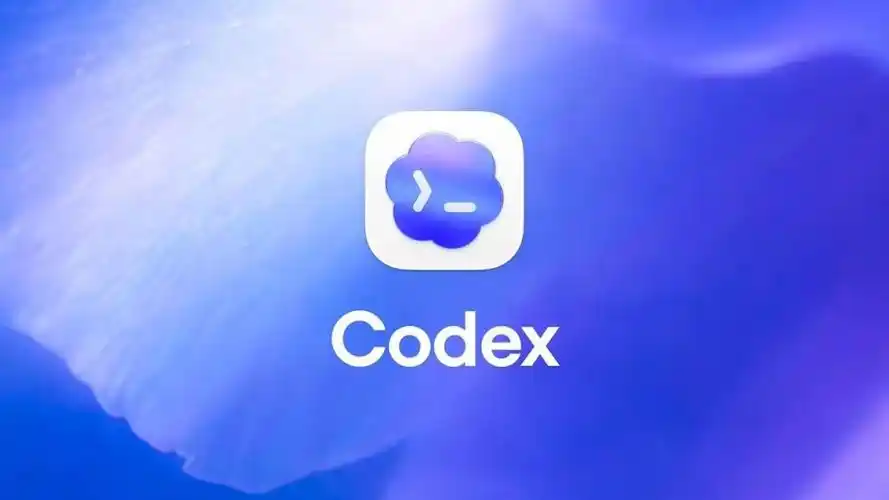 codex破限