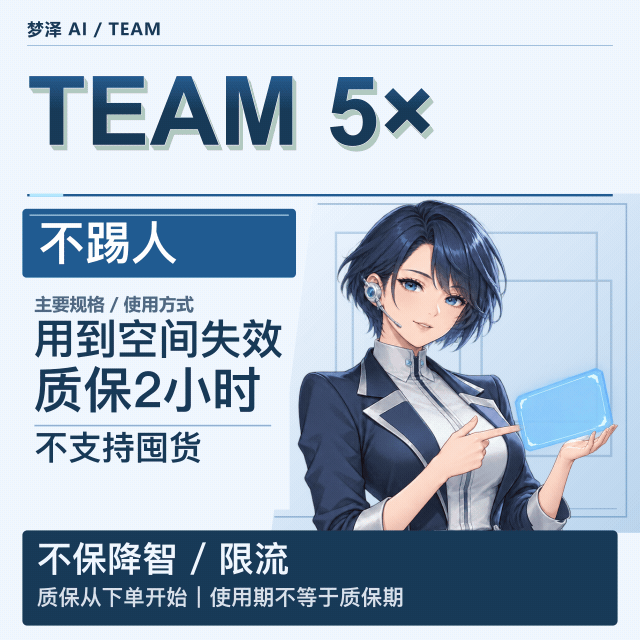 5x team 质保2h（不踢人）长效车用到空间死，不质保降智限流商品图片