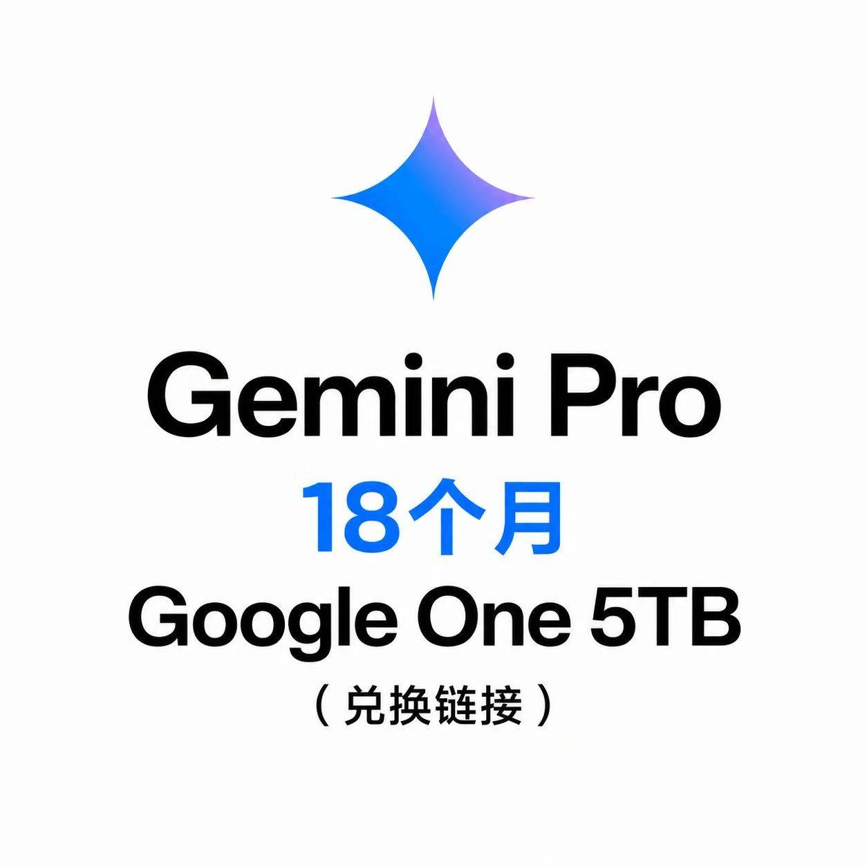 Google One Gemini Pro 18个月 5TB（兑换链接) 无质保商品图片